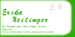 erika meilinger business card
